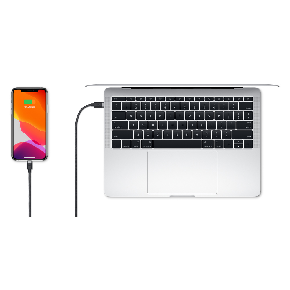 Cable de USB-C a Lightning de mophie (1 m) - Educación - Apple (CL)