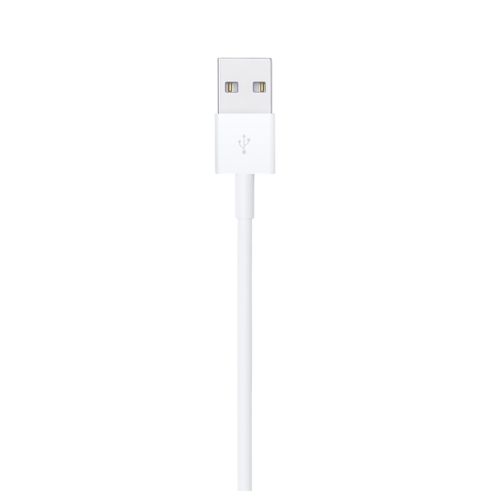 Aangenaam kennis te maken Decoderen Vierde Lightning to USB Cable (1 m) - Apple