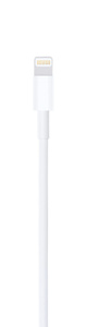 Apple Lightning Cable