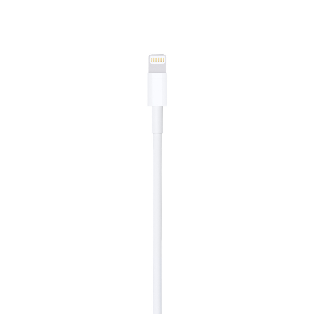 Ontbering Geelachtig blad Lightning-naar-USB-kabel (0,5 m) - Apple (BE)