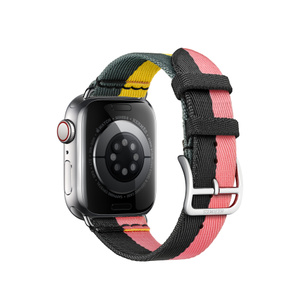 オータムセール 専用Apple Watch Hermès 40/ 41mmケース用 ローズ