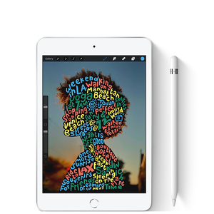 iPad mini 5 Wi-Fi + Cellular 64GB - スペースグレイ [整備済製品] - Apple（日本）