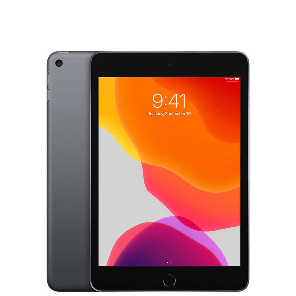 Apple iPad mini 5 Wi-Fi 64GB スペースグレイ 美品-